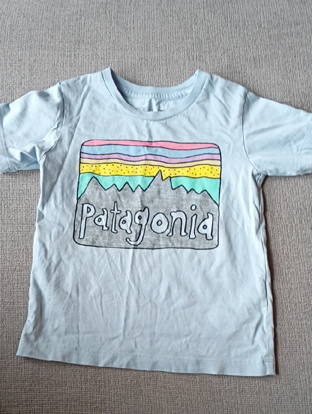 Patagonia 2T Tee